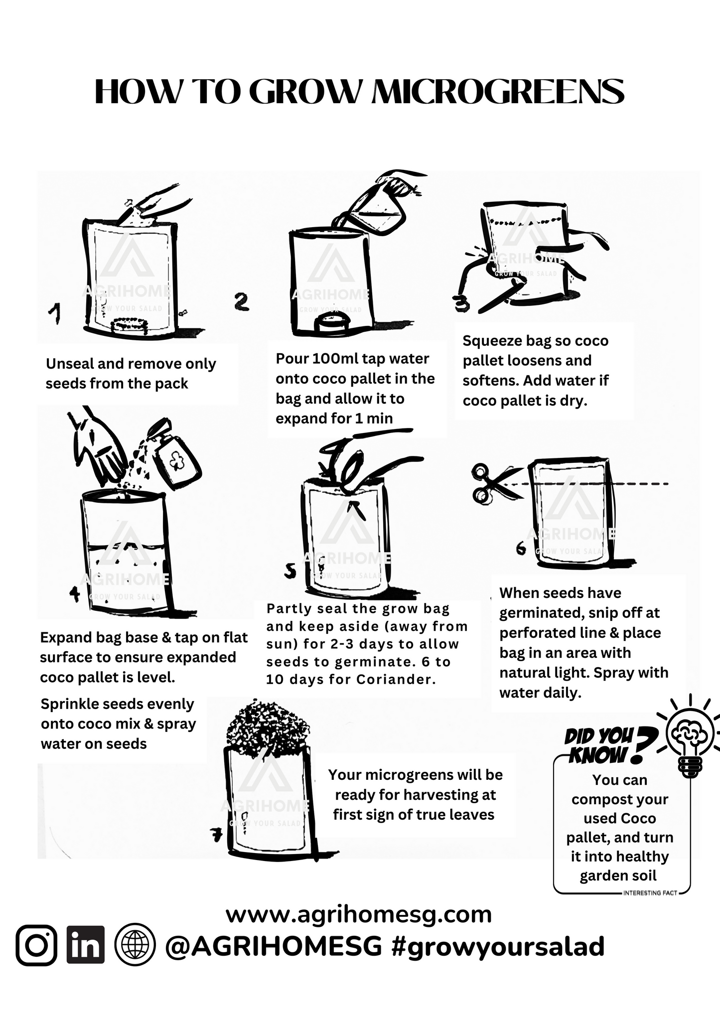 Microgreen Grow Kit/ Gift Set