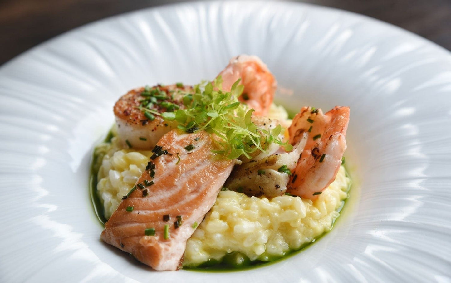 Microgreen Grow Kit/ Gift Set