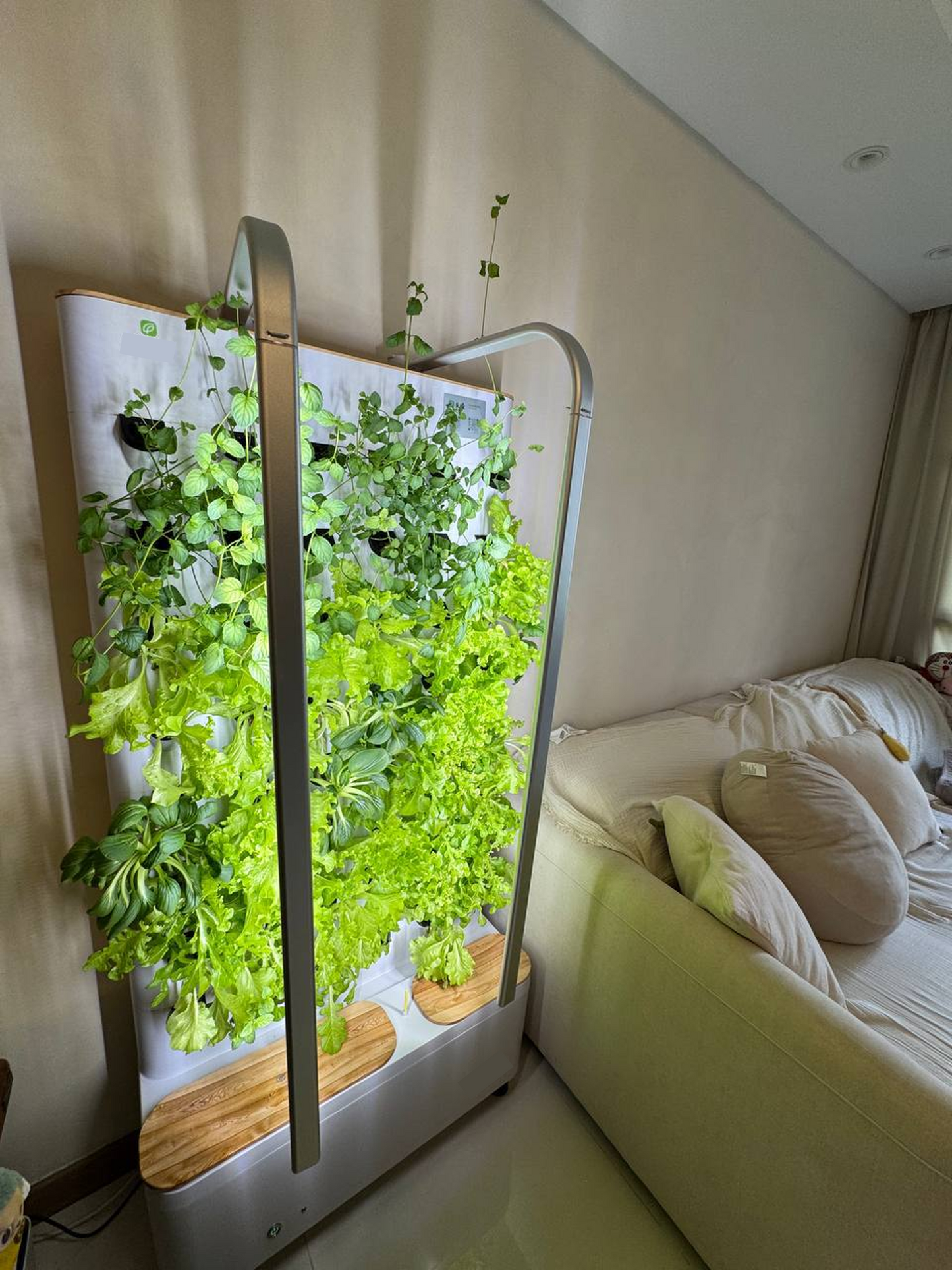 FARMWALL - You Edible Garden Re-imagined