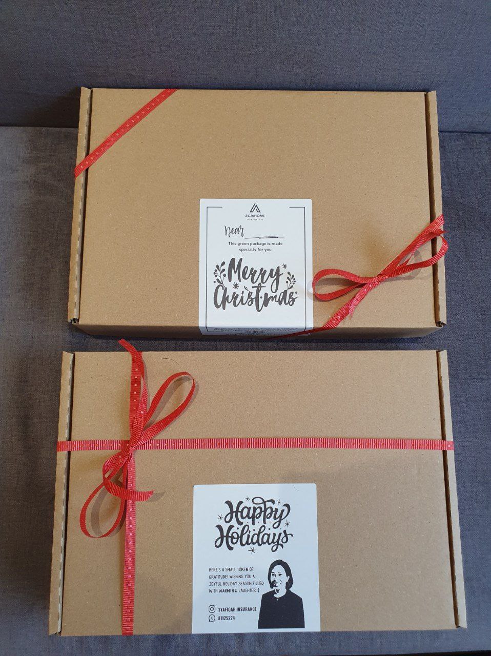 Microgreen Grow Kit/ Gift Set