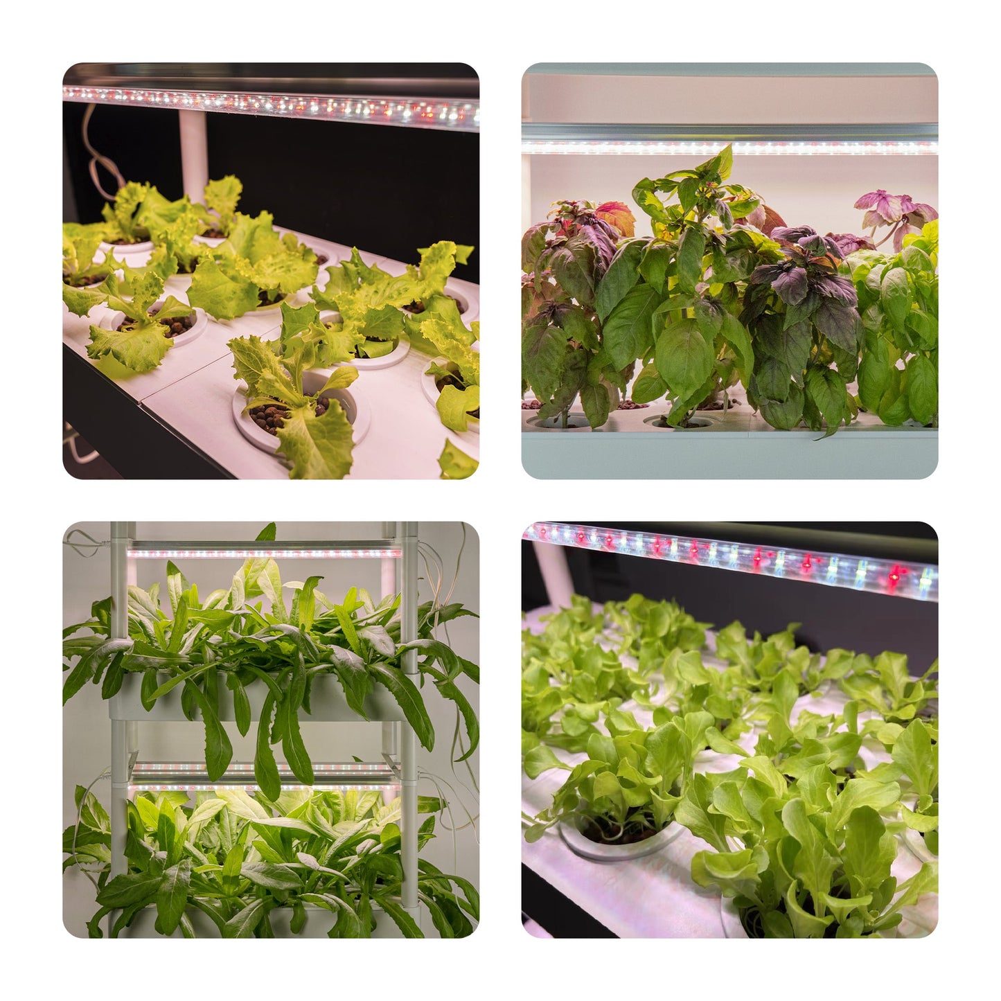 CLEARANCE- FARM TOWER