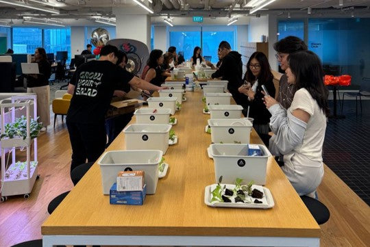 hydroponics workshop office