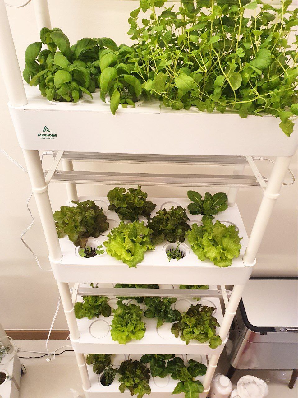 CLEARANCE- FARM TOWER