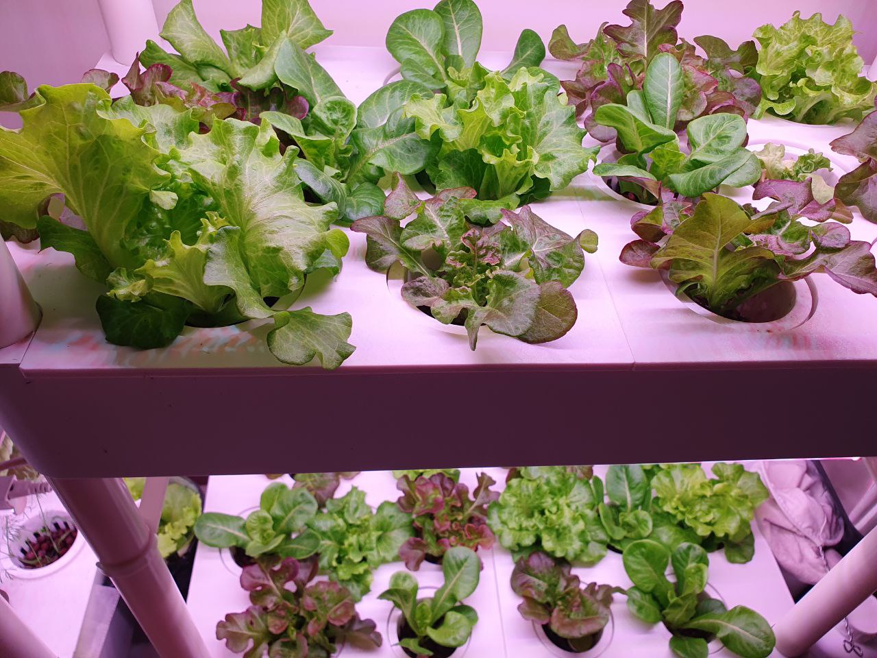 CLEARANCE- FARM TOWER