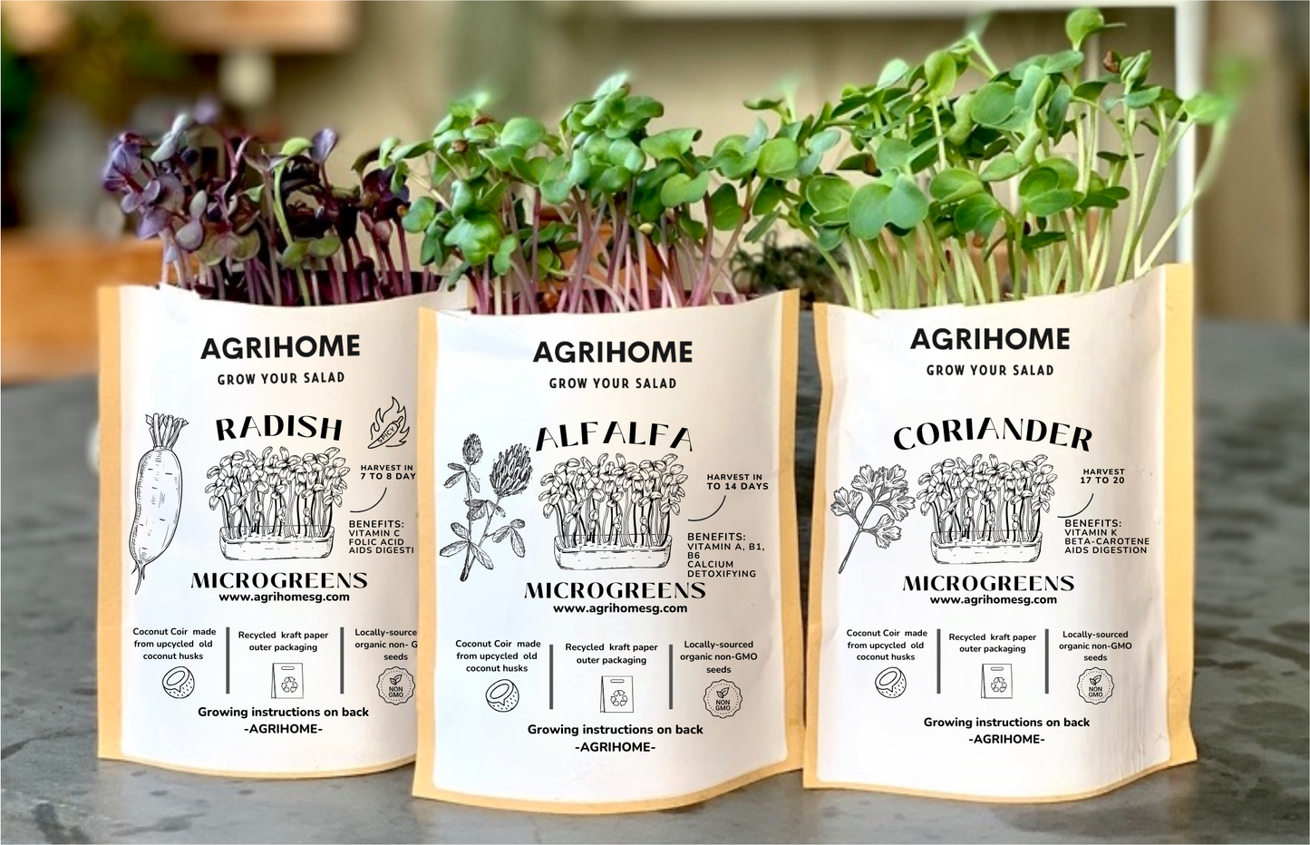 Microgreen Grow Kit/ Gift Set