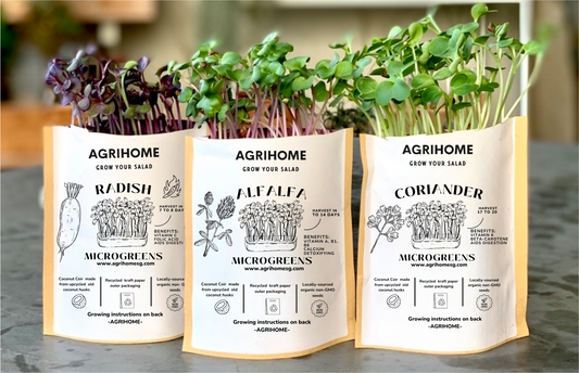 Microgreen Grow Kit/ Gift Set