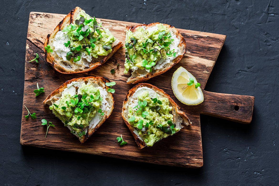 Microgreen Grow Kit/ Gift Set