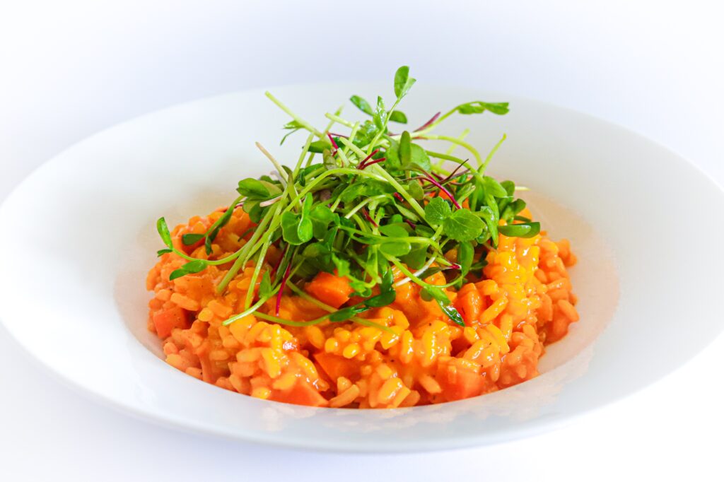 Microgreen Grow Kit/ Gift Set