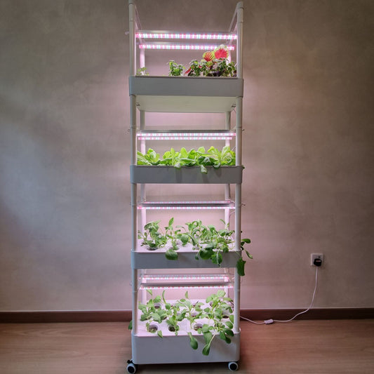 CLEARANCE- FARM TOWER