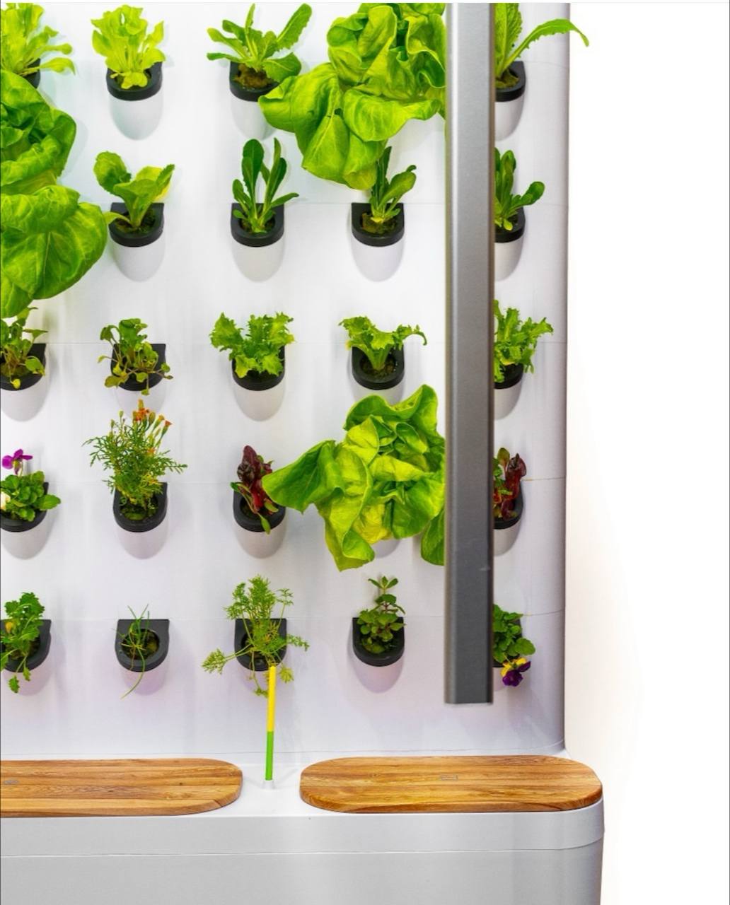 FARMWALL - You Edible Garden Re-imagined