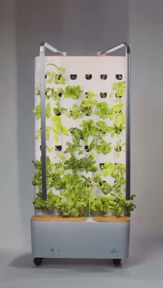 FARMWALL - You Edible Garden Re-imagined
