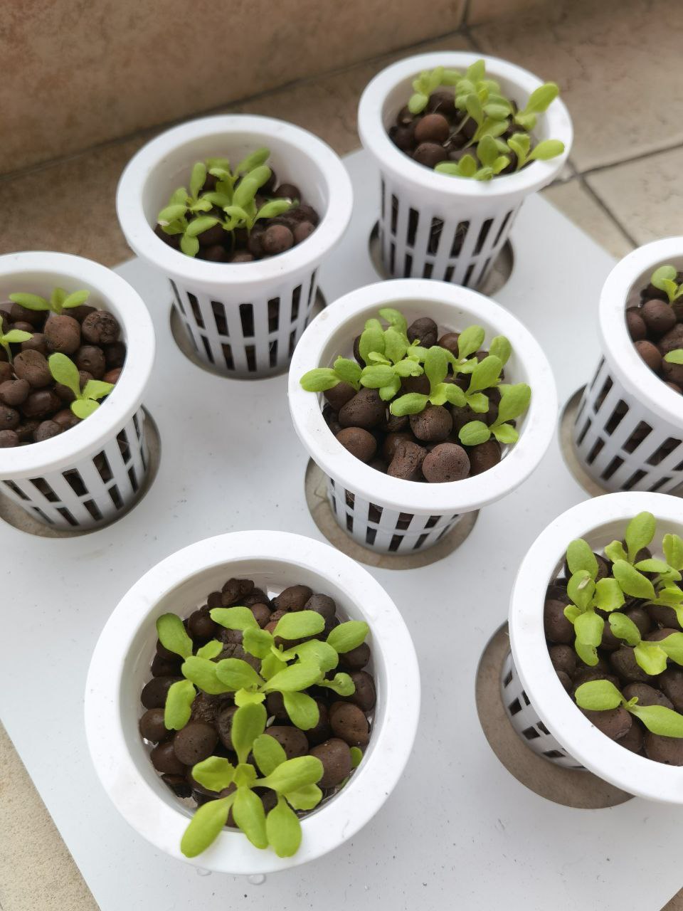 CLEARANCE- FARM TOWER