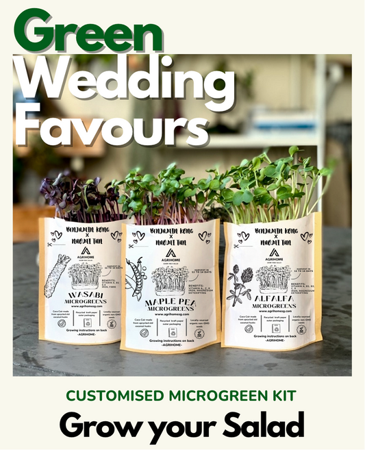 Sustainable and eco-friendly wedding favours