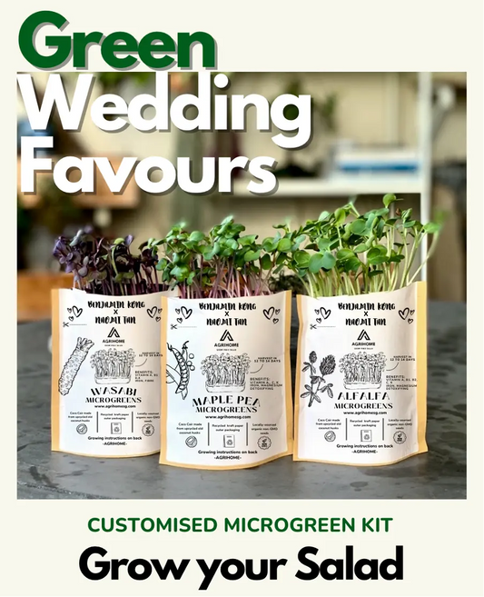 Sustainable and eco-friendly wedding favours AgrihomeSG