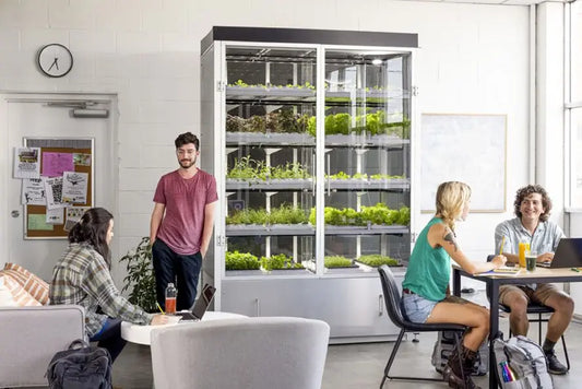 Cultivating Wellness: How Urban Microfarms Boost Mental Health, Wellbeing, and Self-Care AgrihomeSG