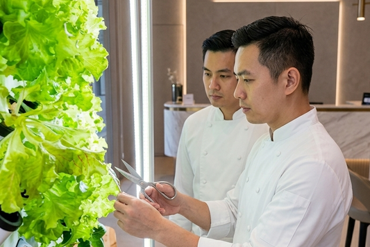 Go Green SG: Activating Sustainable Spaces Across Singapore’s Workplaces, Schools, Hospitality, and Homes