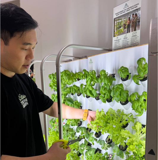 Agrihome FarmWall Mission: An Interview with our Co-Founder