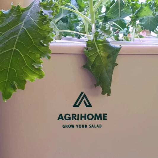 Instructions for Assembly and Growing AgrihomeSG
