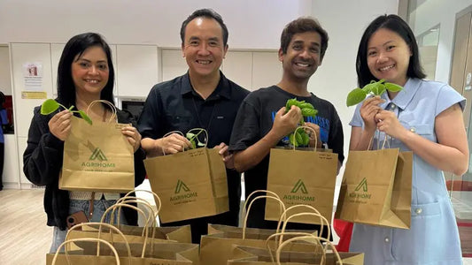 happy office emplloyees with their office farm harvest