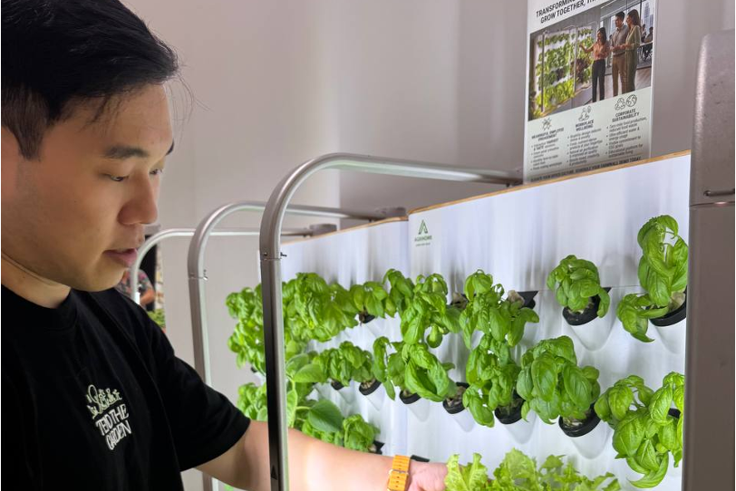Farmer interacting and harvesting  from the Agrihome FarmWall, an indoor vertical garden system.