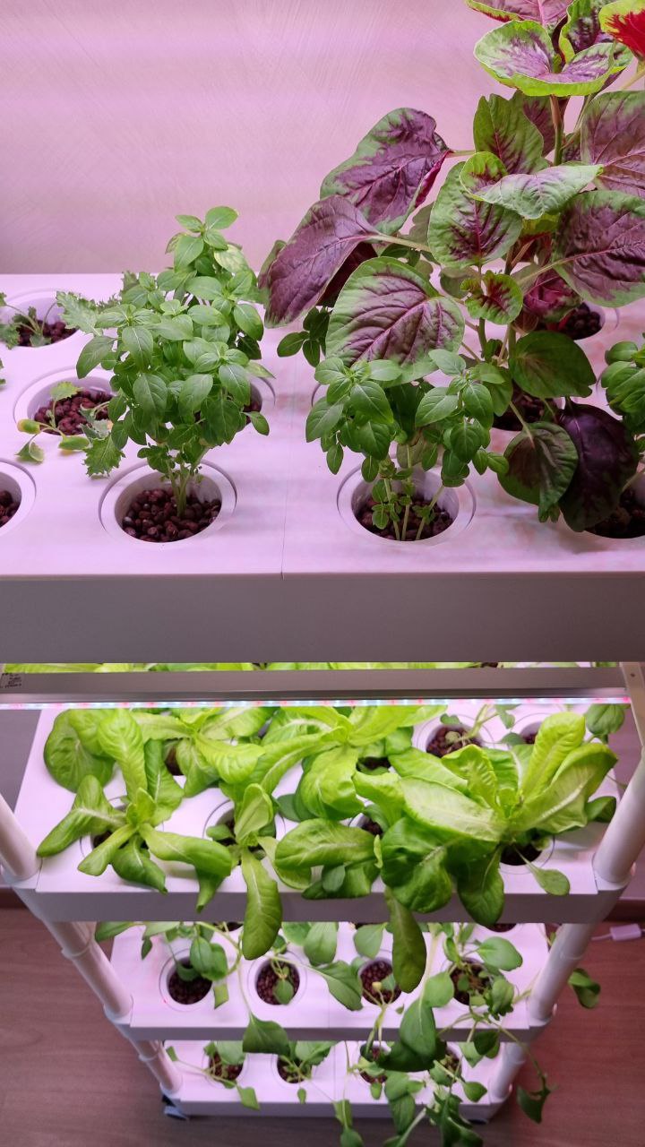 Agrihome FARMTOWER - Smart Indoor Urban Farm