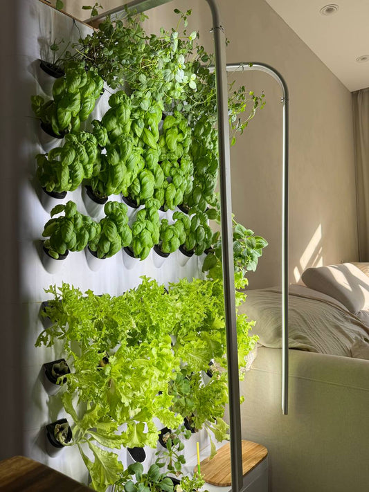 FARMWALL - The Most Intelligent Home Aeroponic Garden