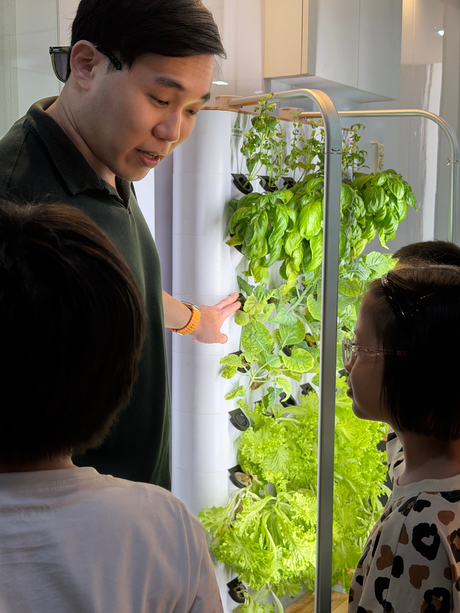 teacher showing 2 students the hydroponic plants growing in a vertical farm a classroom environment.